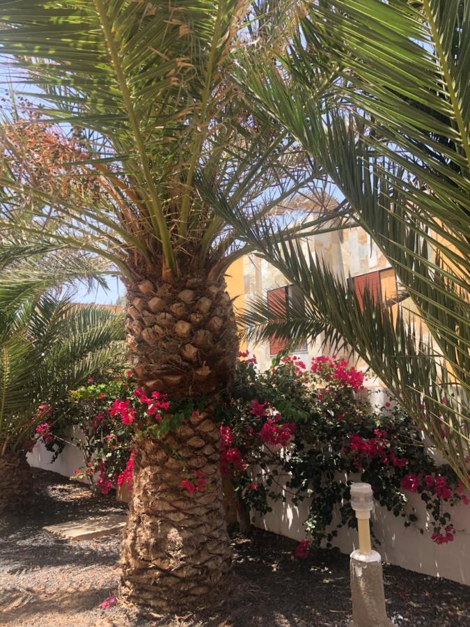 Apartamento SUNNY Complex Amaya Fuerteventura Costa De Antigua Exterior foto