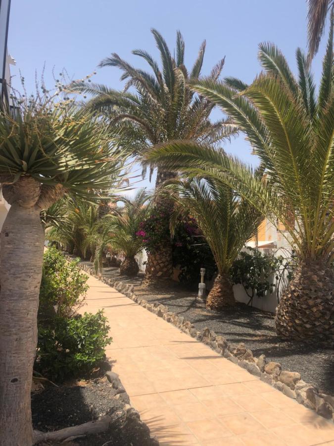 Apartamento SUNNY Complex Amaya Fuerteventura Costa De Antigua Exterior foto